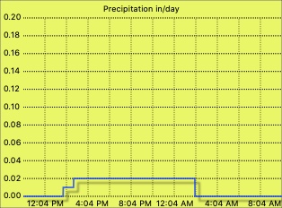 Daily rain graph