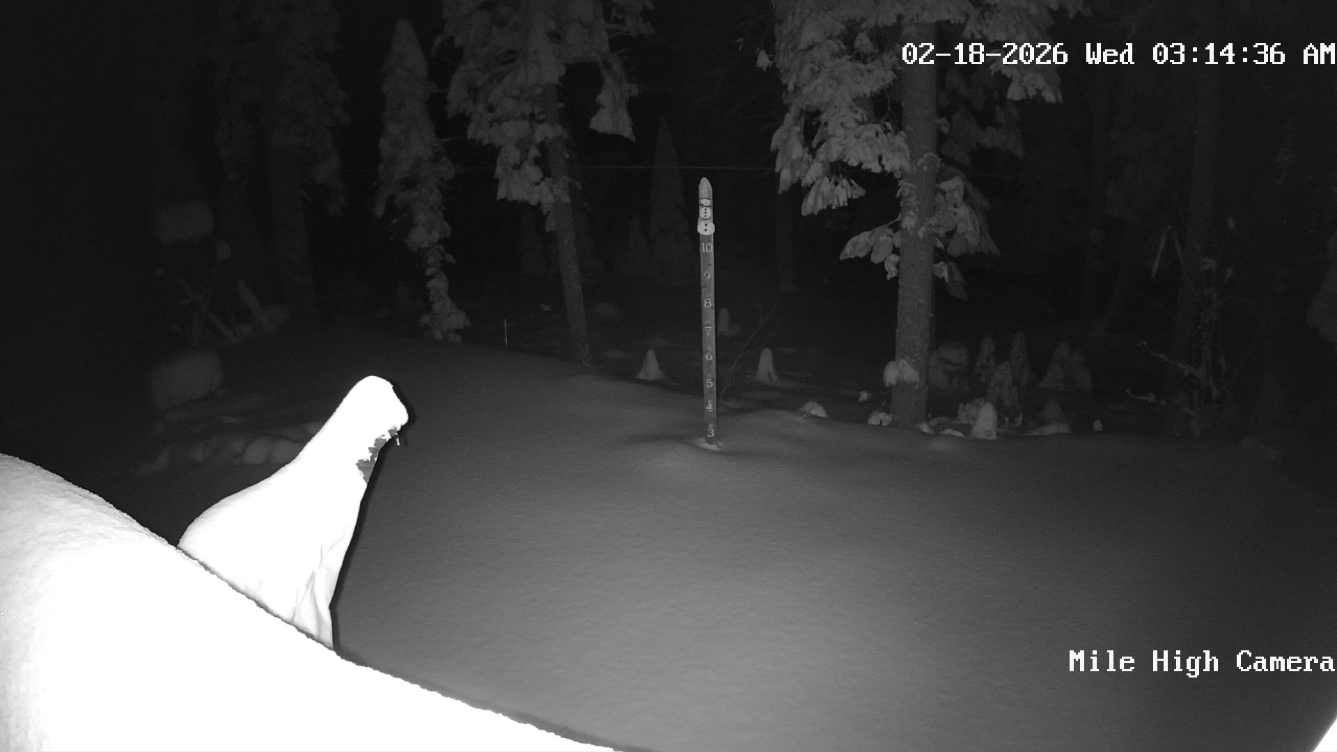 Bucks Lake Weather Camera