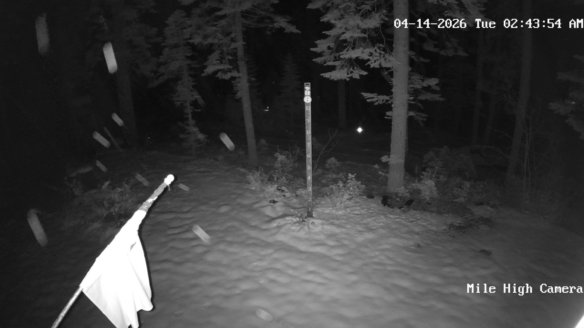 Bucks Lake Weather Camera