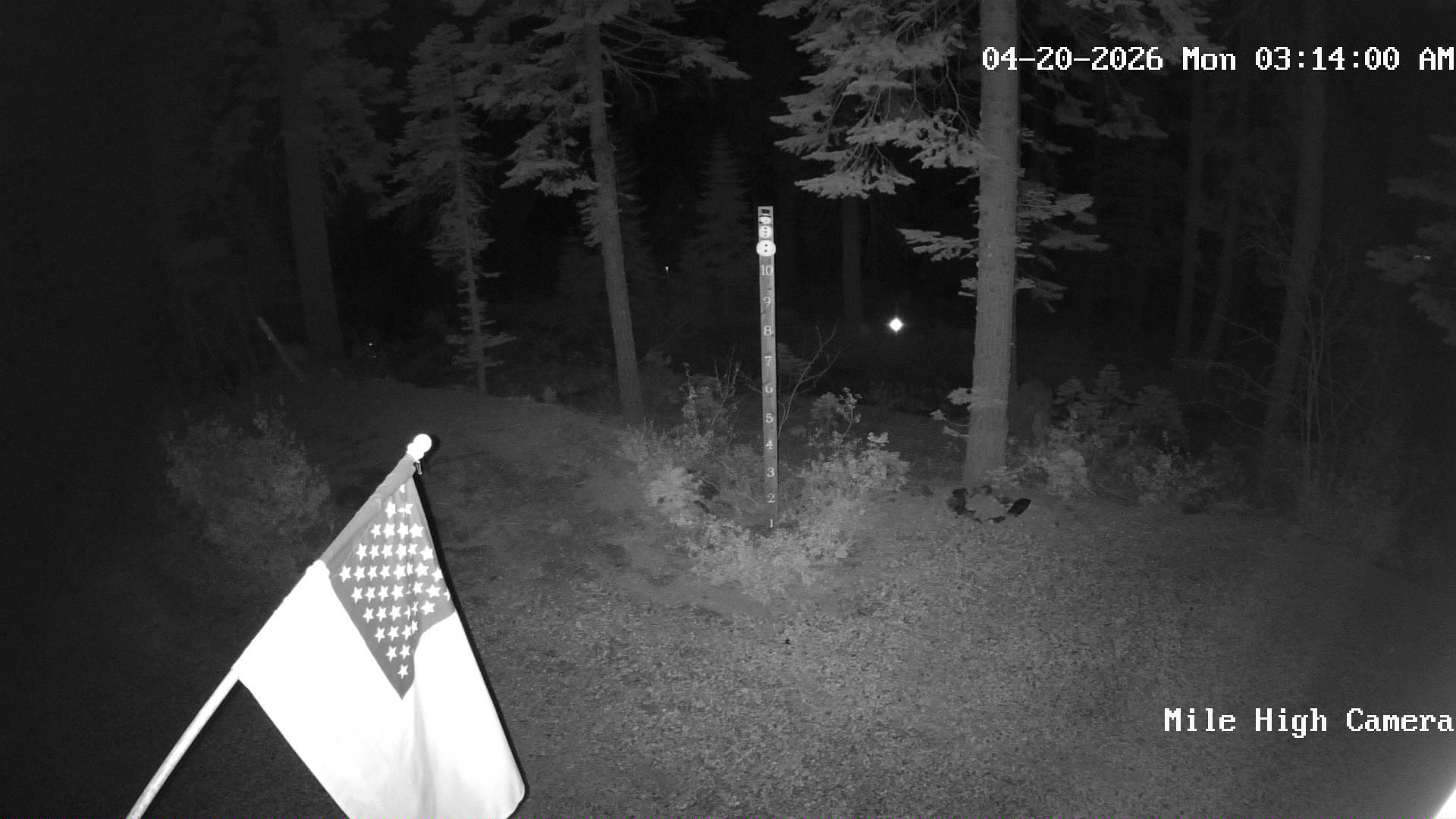 Bucks Lake Weather Camera