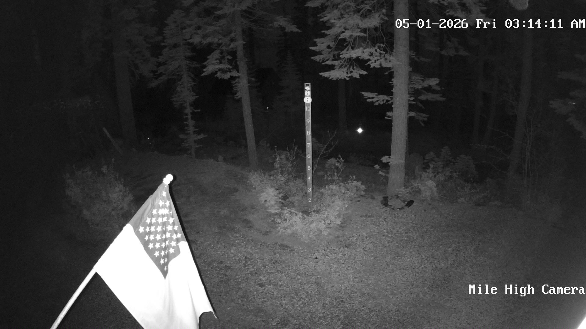 Bucks Lake Weather Camera
