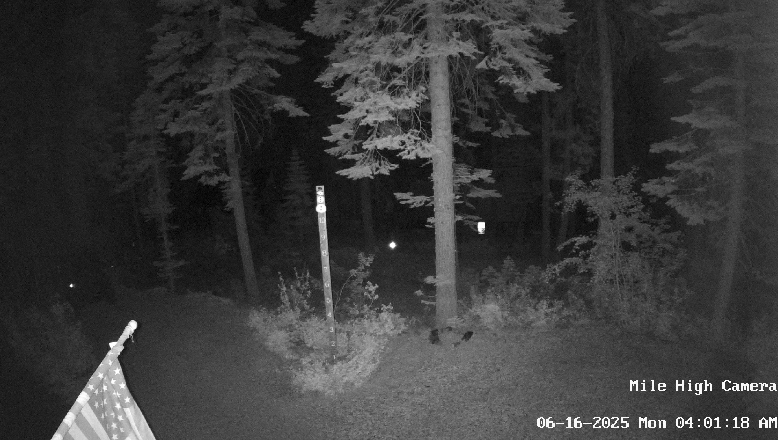 Bucks Lake Weather Camera