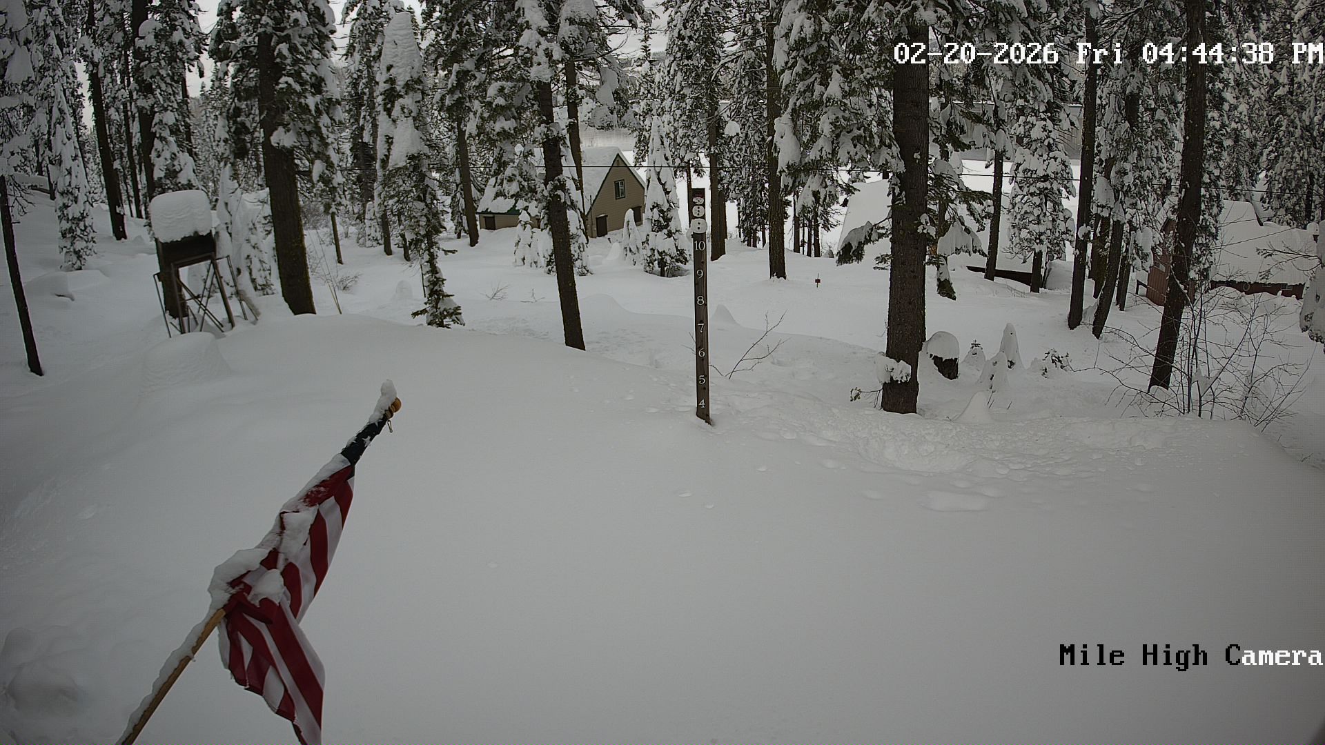 Bucks Lake Weather Camera