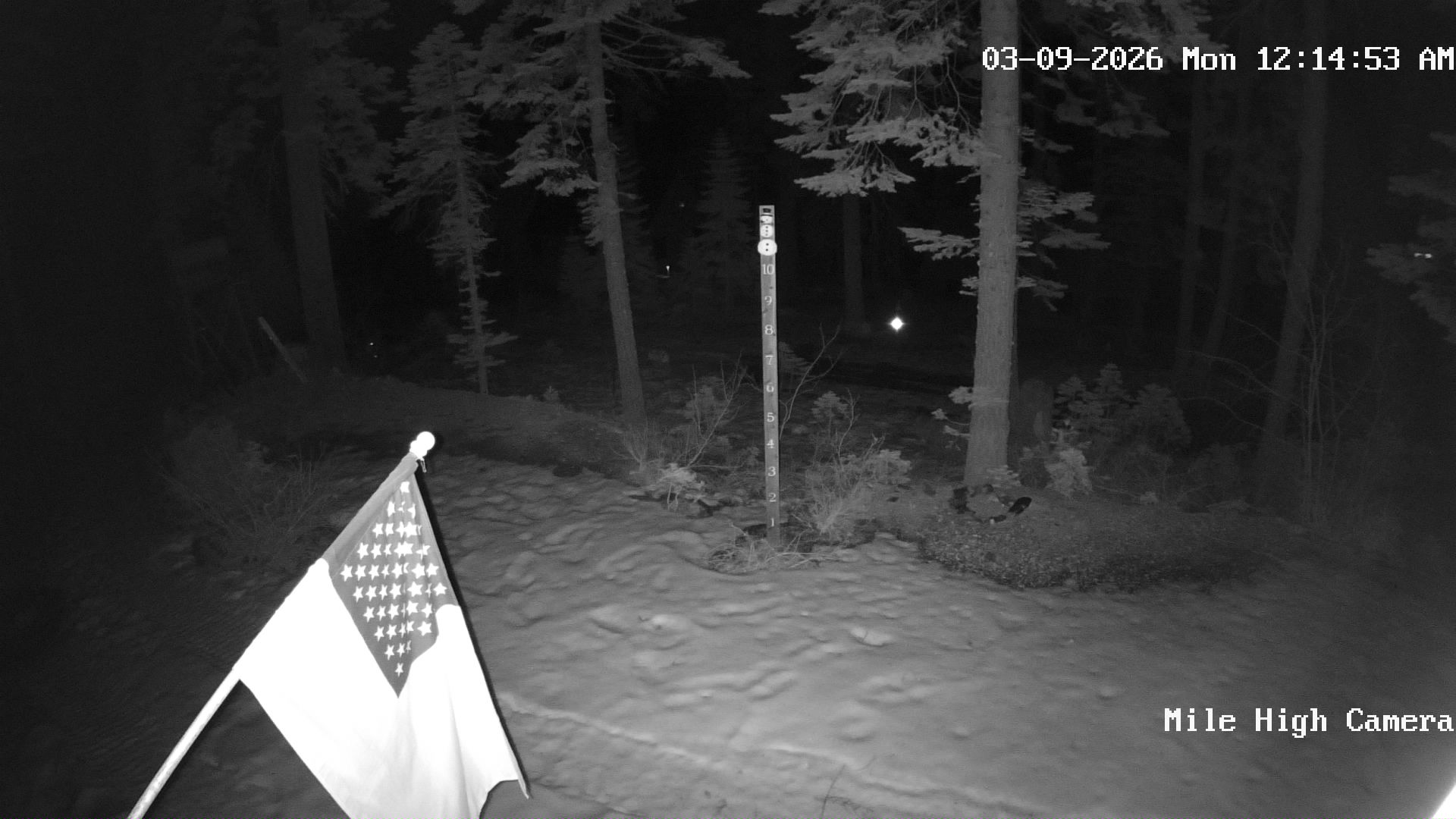 Bucks Lake Weather Camera