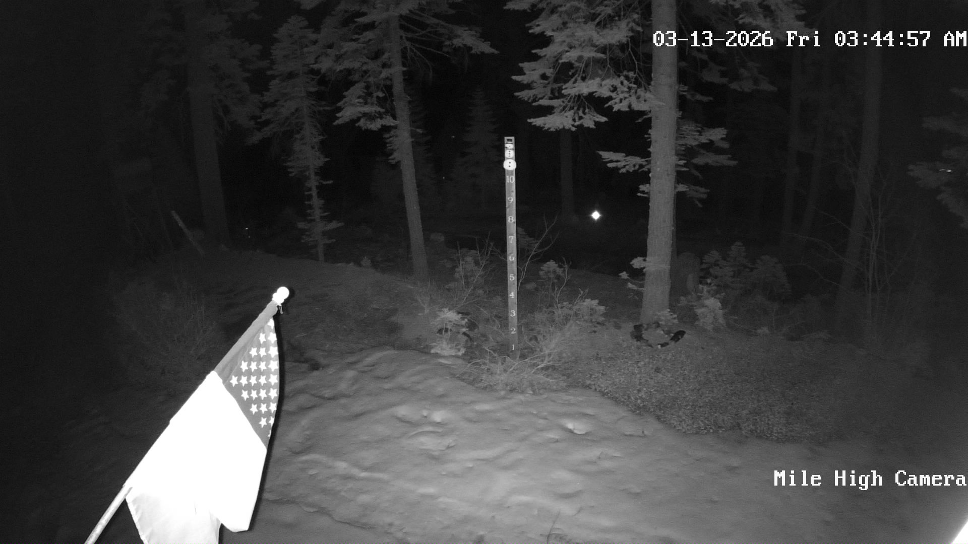 Bucks Lake Weather Camera