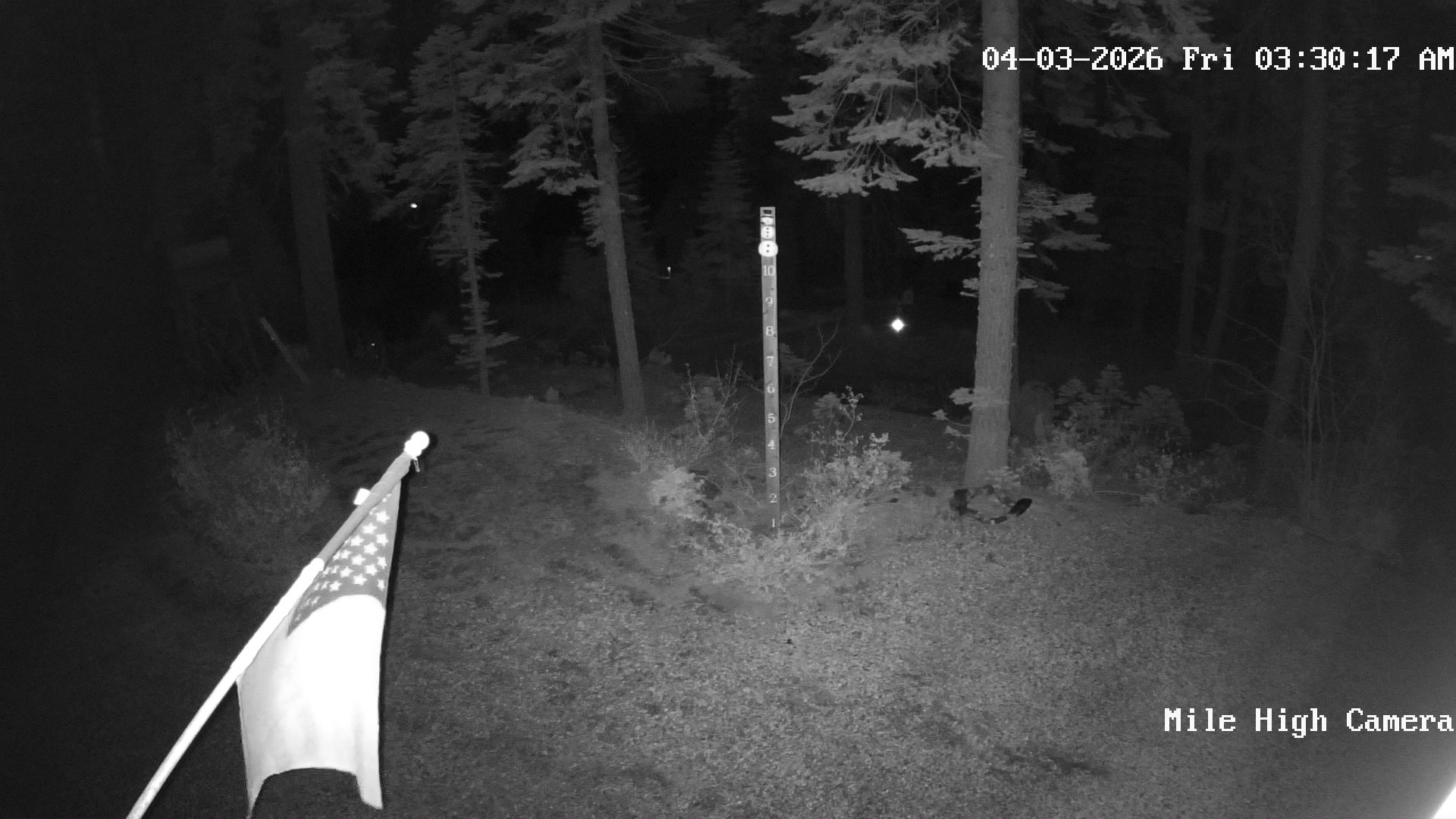 Bucks Lake Weather Camera